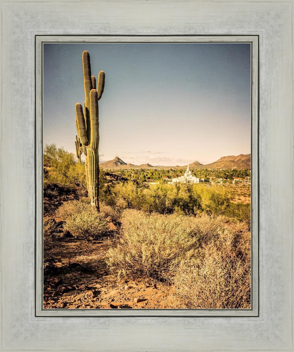 Phoenix Cactus Hill