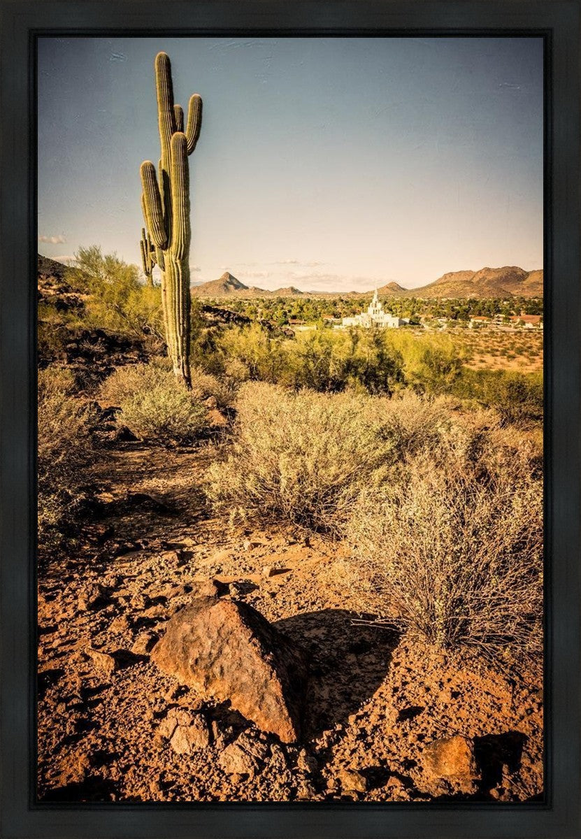 Phoenix Cactus Hill Gallery Wrap