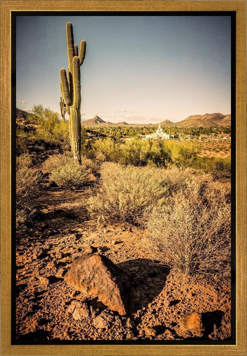 Phoenix Cactus Hill Gallery Wrap