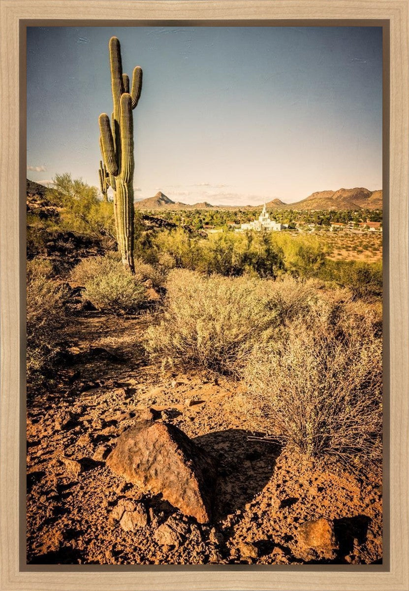 Phoenix Cactus Hill Gallery Wrap