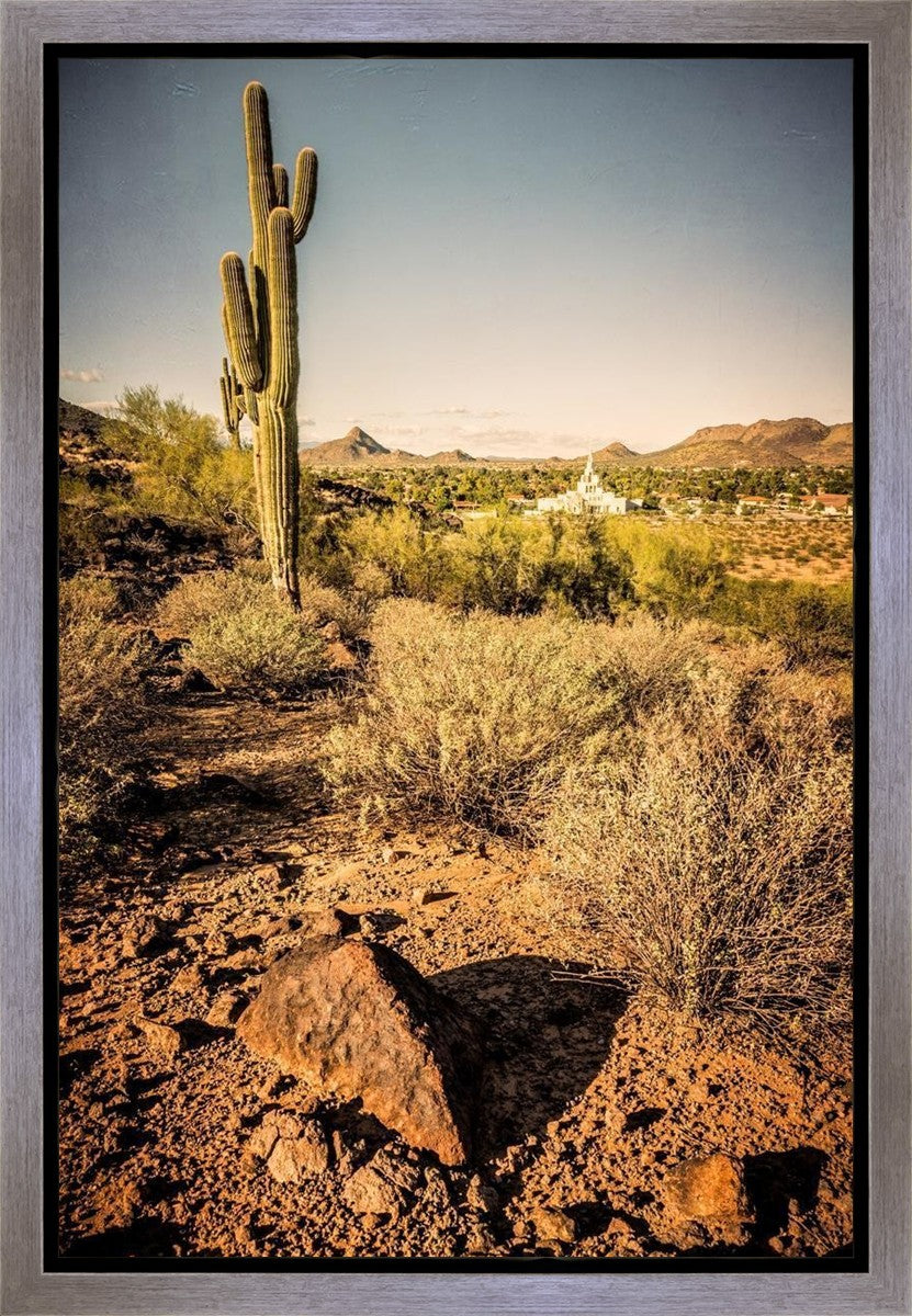 Phoenix Cactus Hill Gallery Wrap