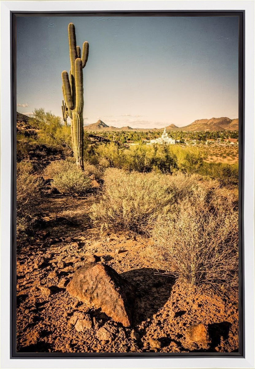 Phoenix Cactus Hill Gallery Wrap