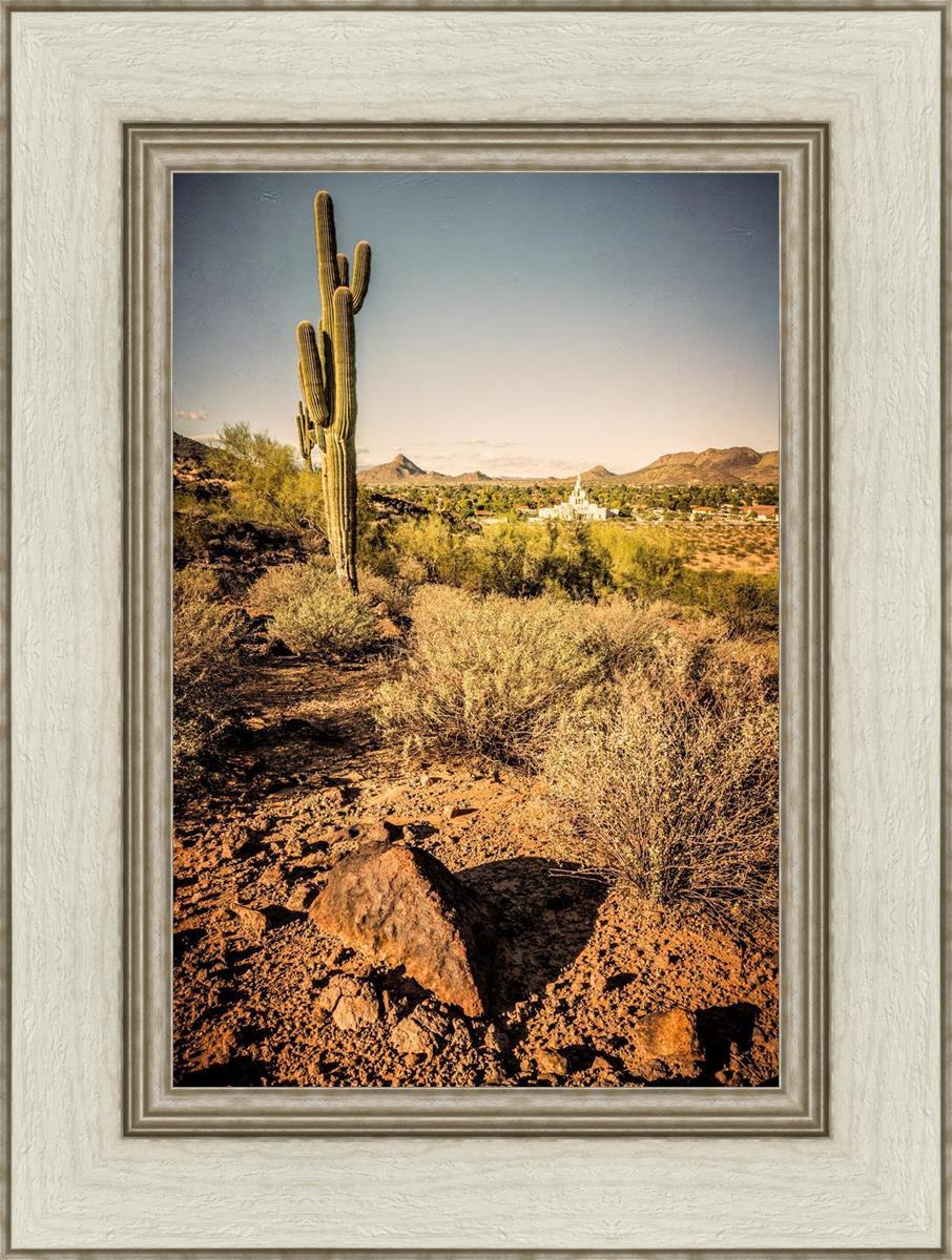 Phoenix Cactus Hill