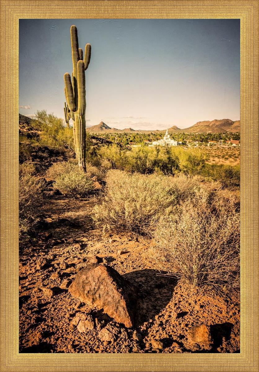Phoenix Cactus Hill