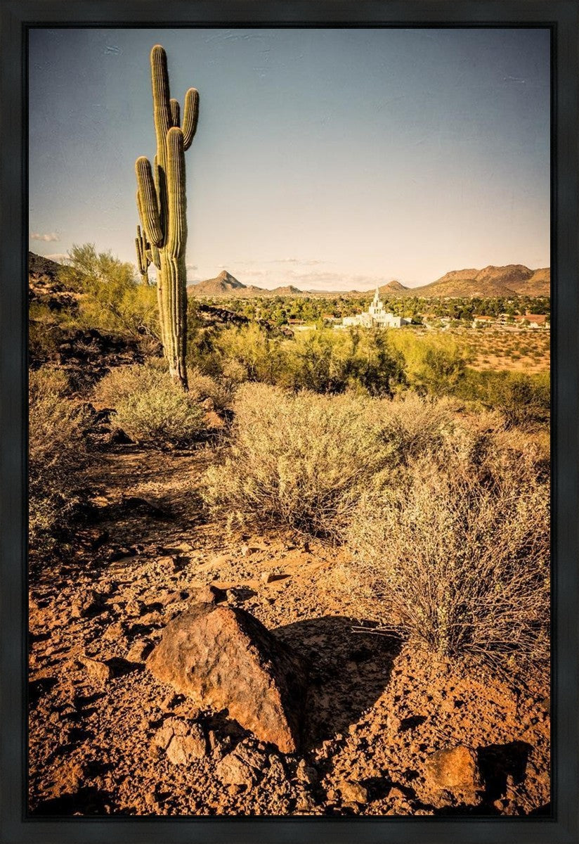Phoenix Cactus Hill Gallery Wrap