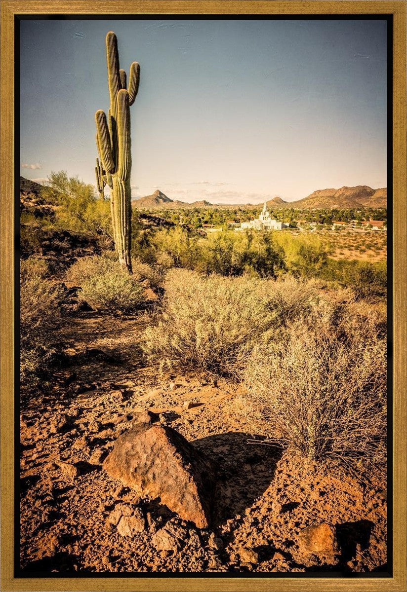 Phoenix Cactus Hill Gallery Wrap