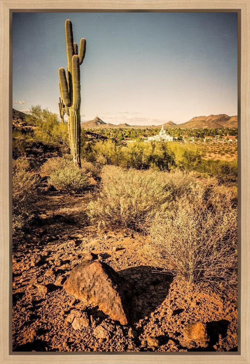 Phoenix Cactus Hill Gallery Wrap