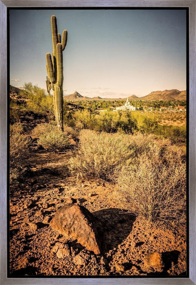 Phoenix Cactus Hill Gallery Wrap