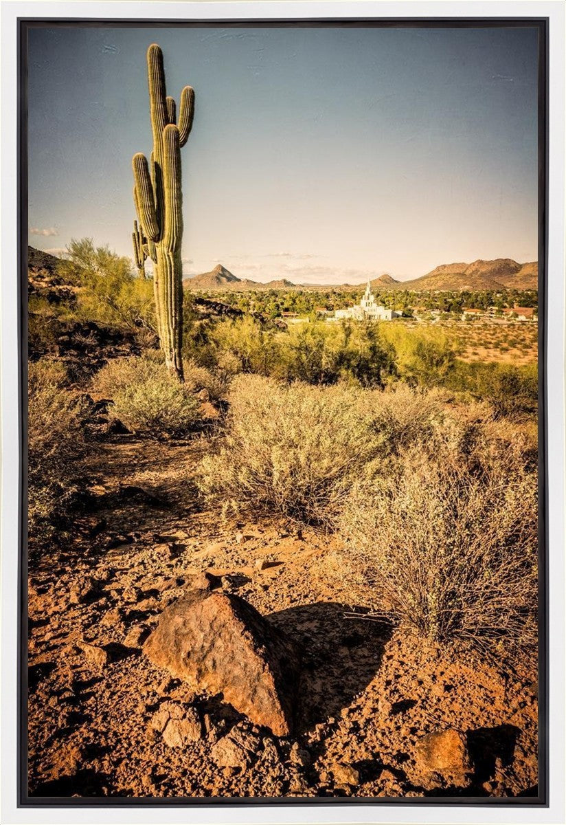 Phoenix Cactus Hill Gallery Wrap