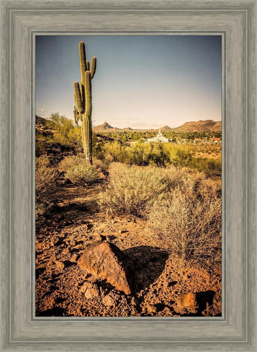 Phoenix Cactus Hill