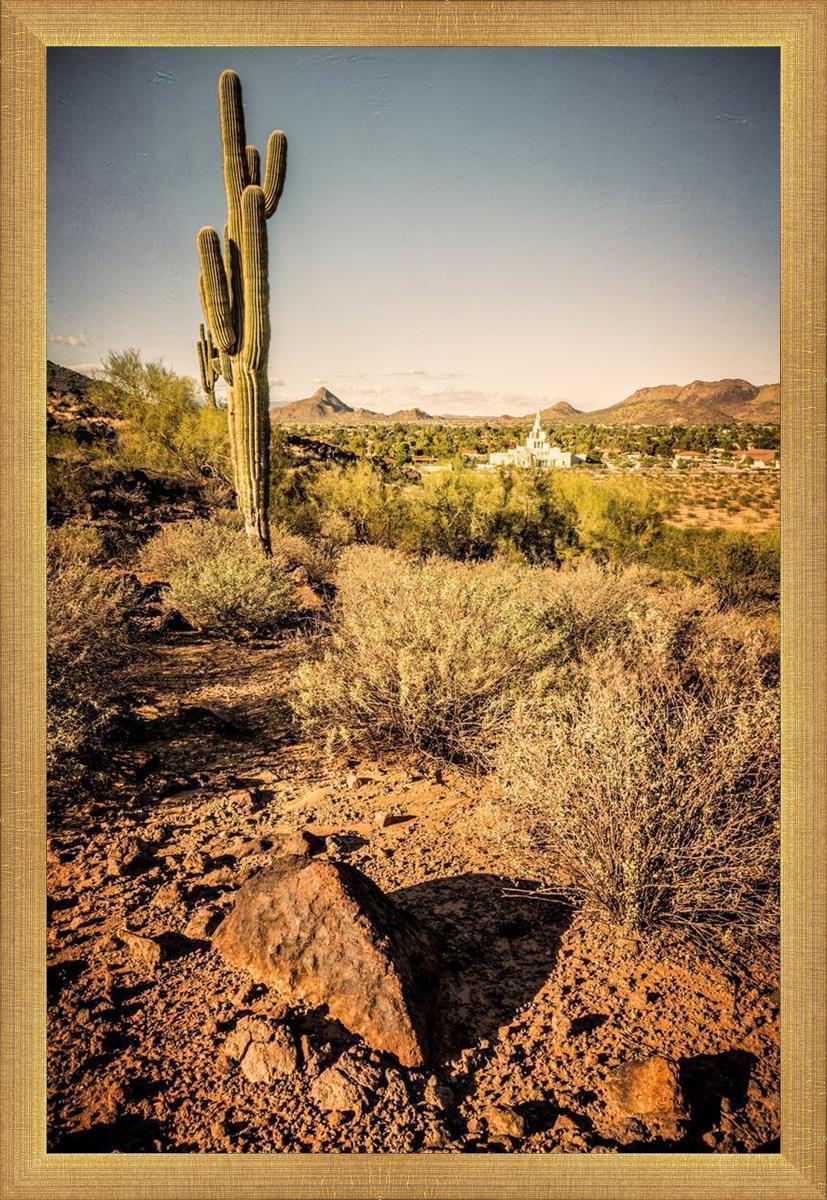 Phoenix Cactus Hill