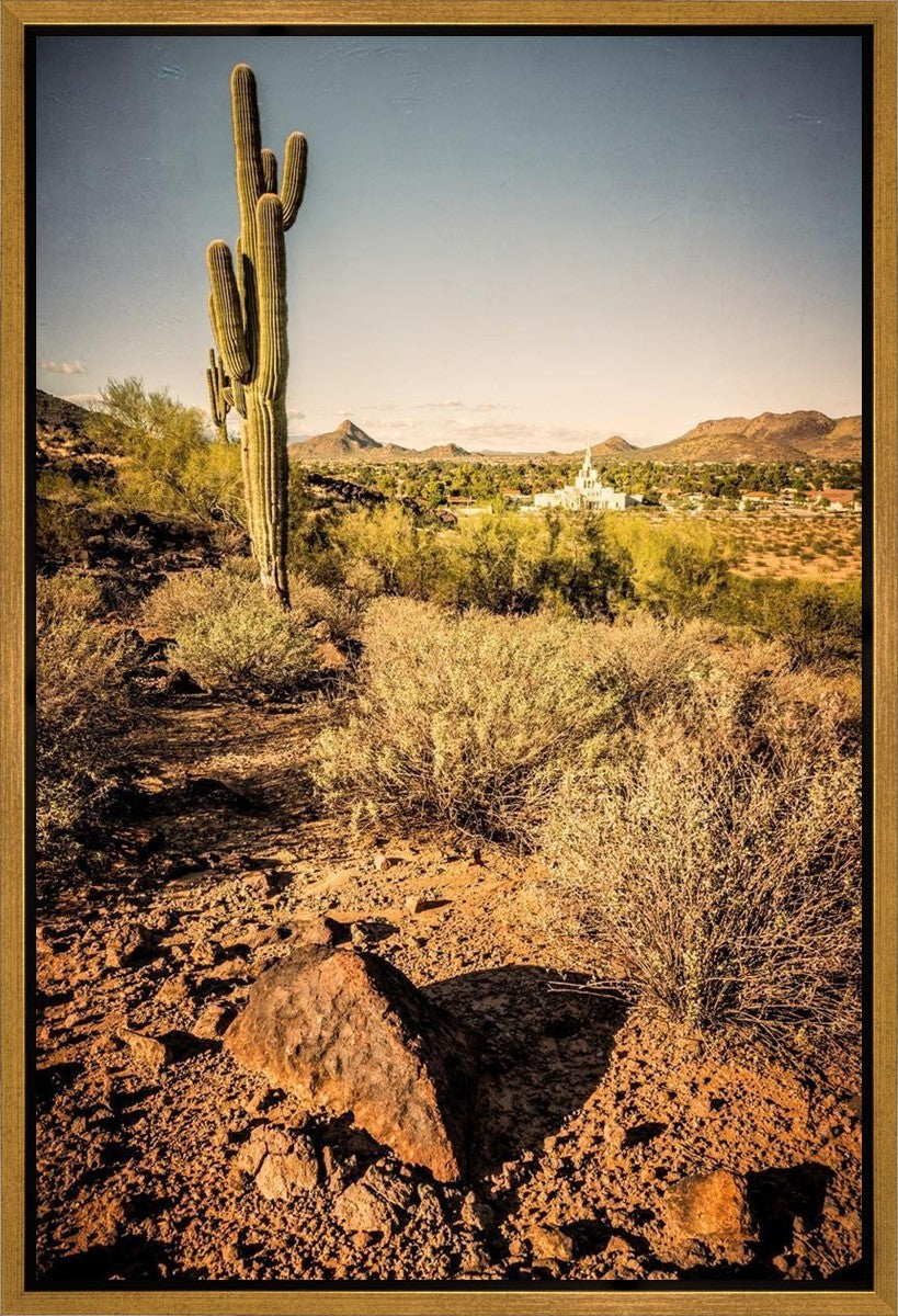 Phoenix Cactus Hill Gallery Wrap