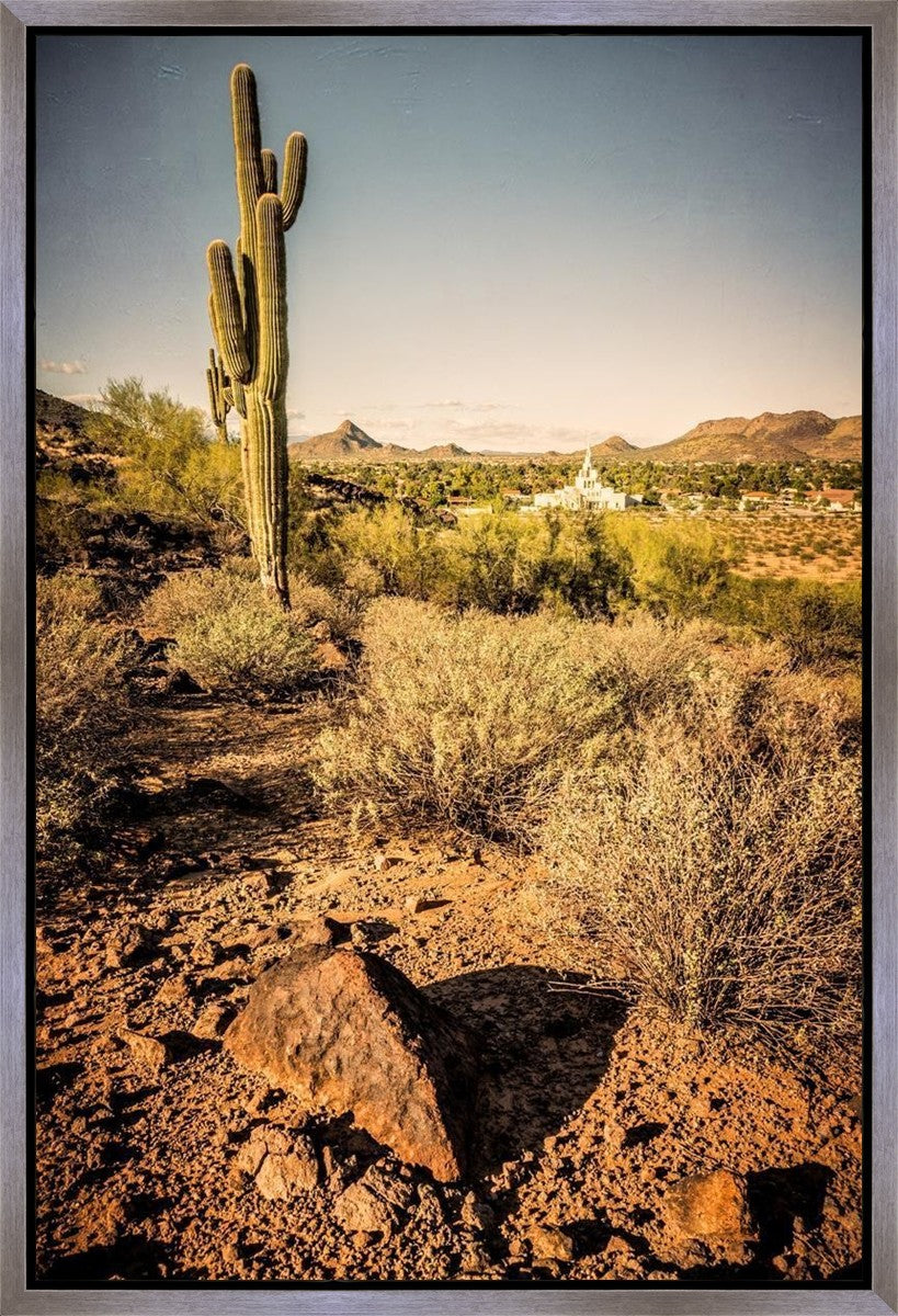 Phoenix Cactus Hill Gallery Wrap