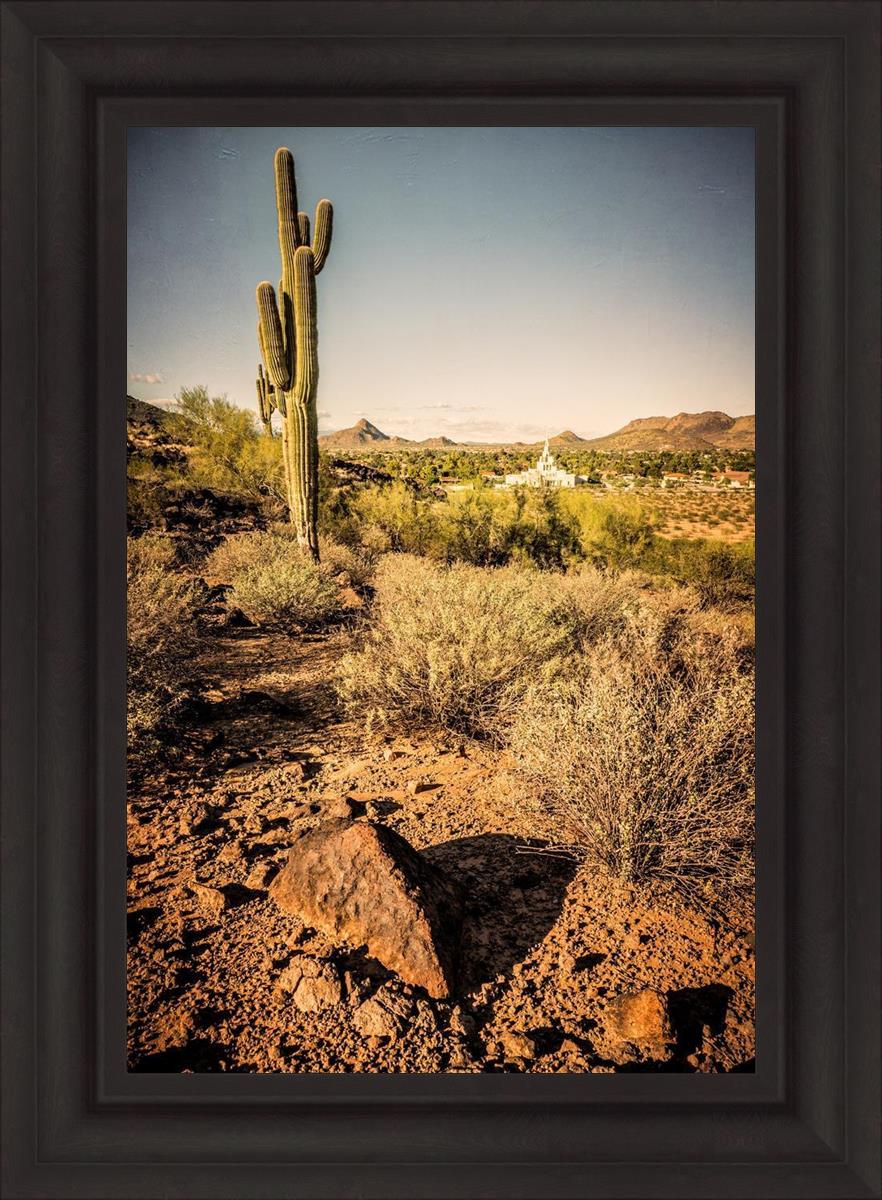Phoenix Cactus Hill