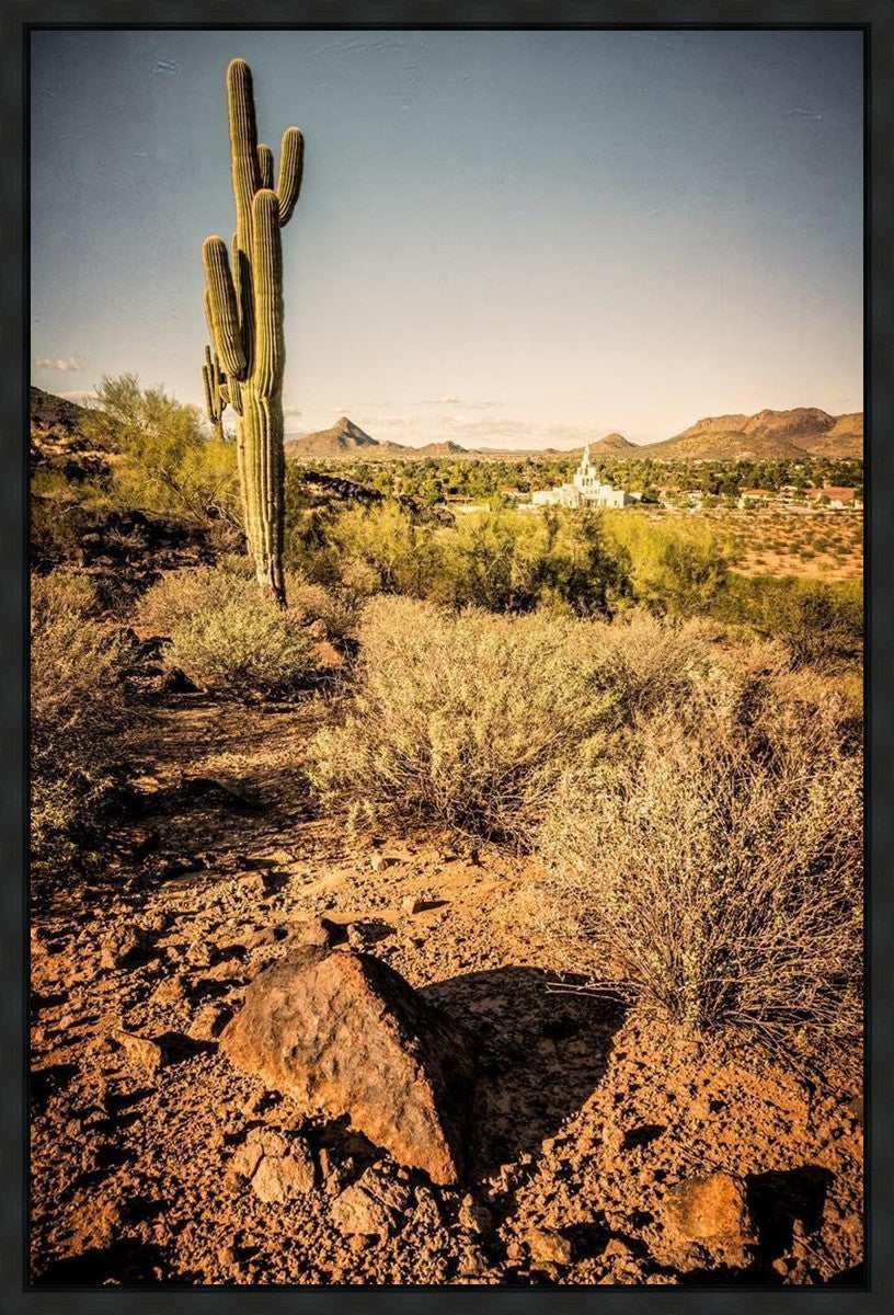 Phoenix Cactus Hill Gallery Wrap