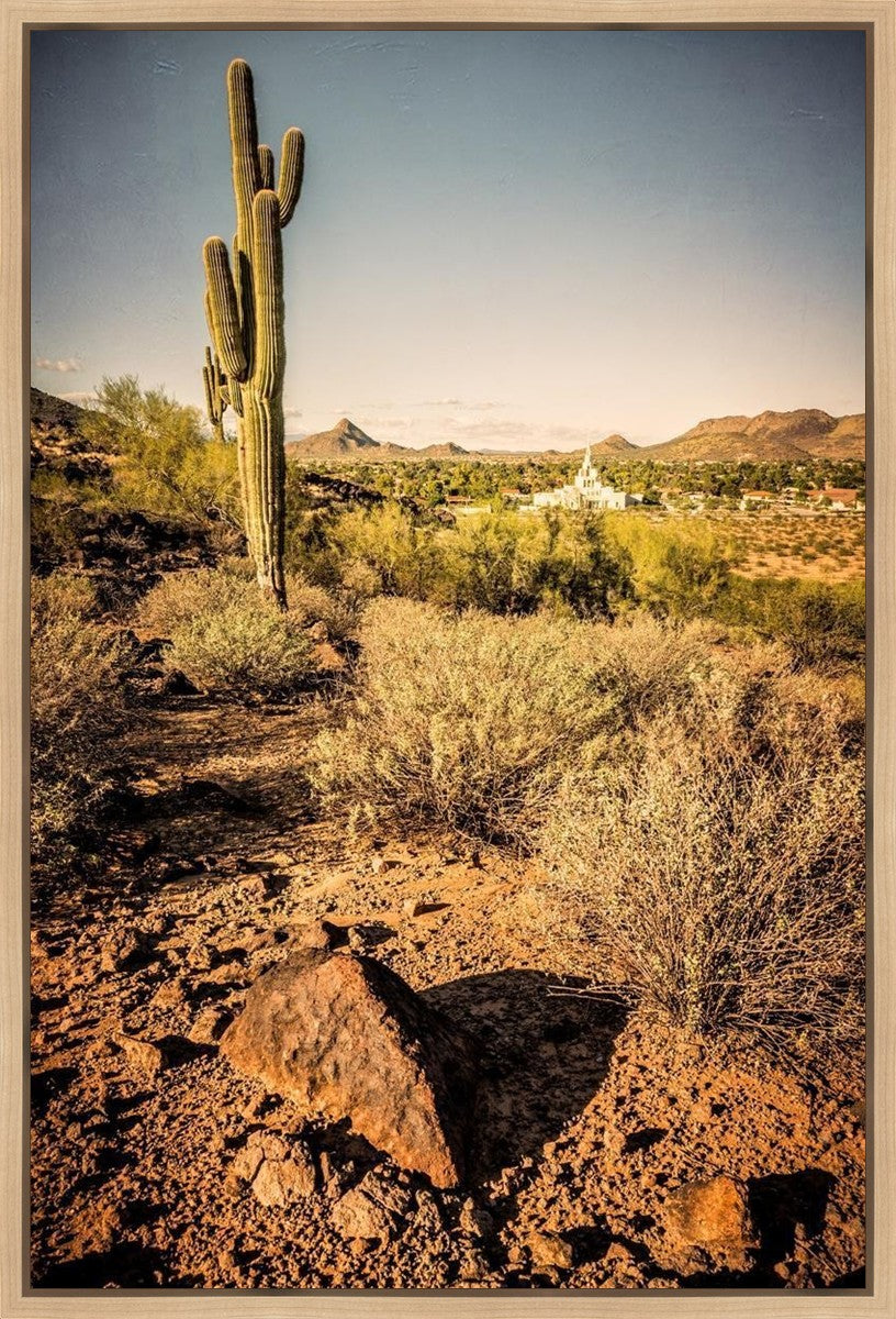 Phoenix Cactus Hill Gallery Wrap