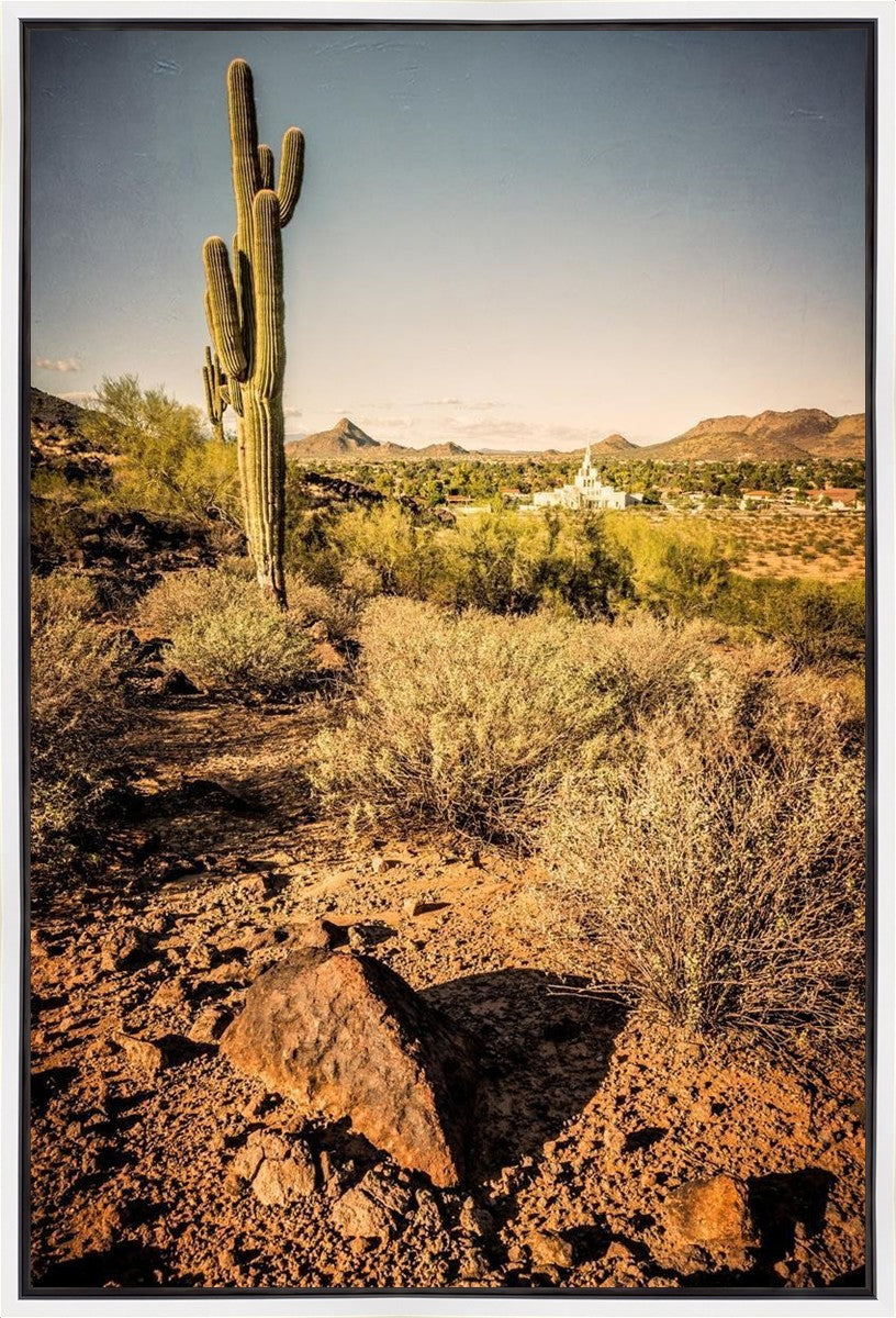 Phoenix Cactus Hill Gallery Wrap