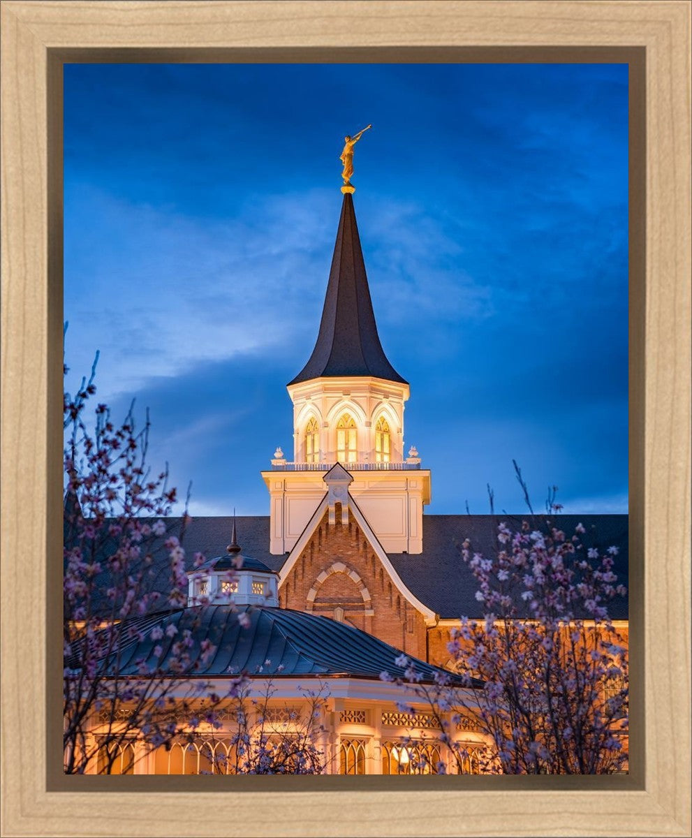 Provo City Center Blue and Gold Gallery Wrap