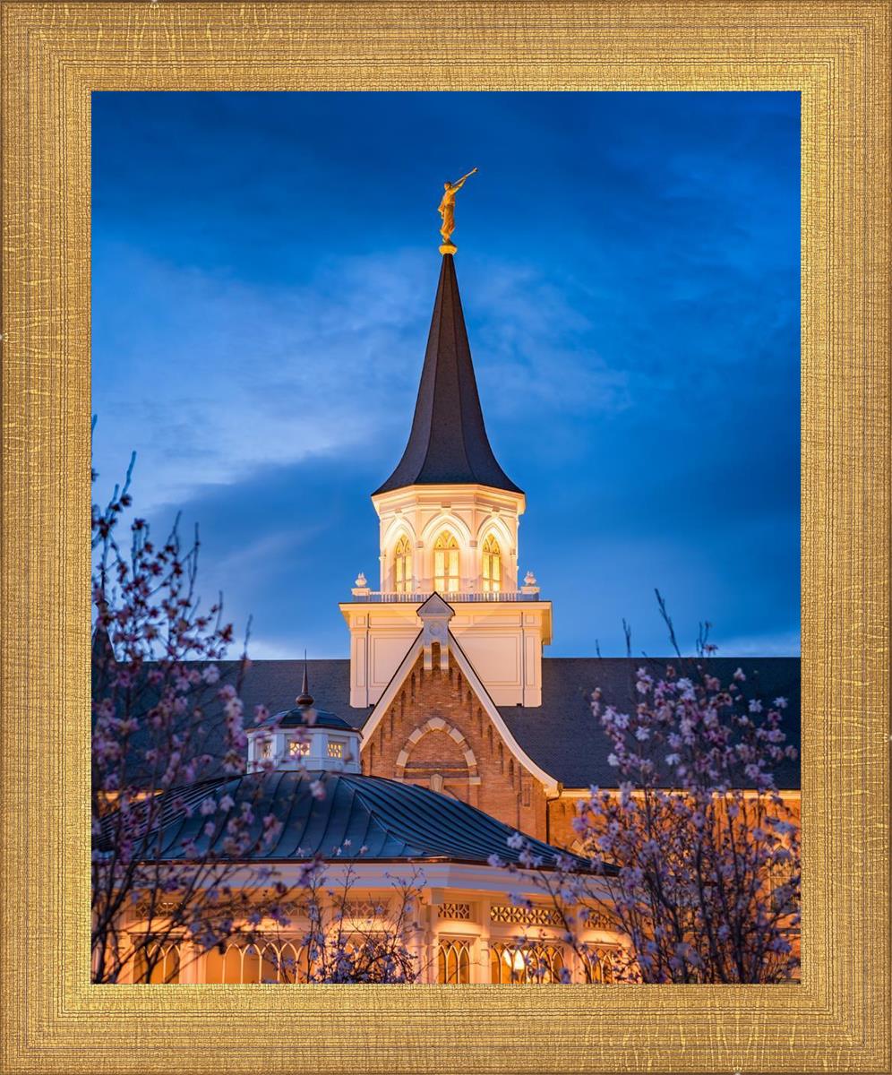 Provo City Center Blue and Gold