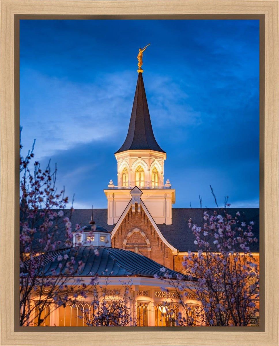 Provo City Center Blue and Gold Gallery Wrap