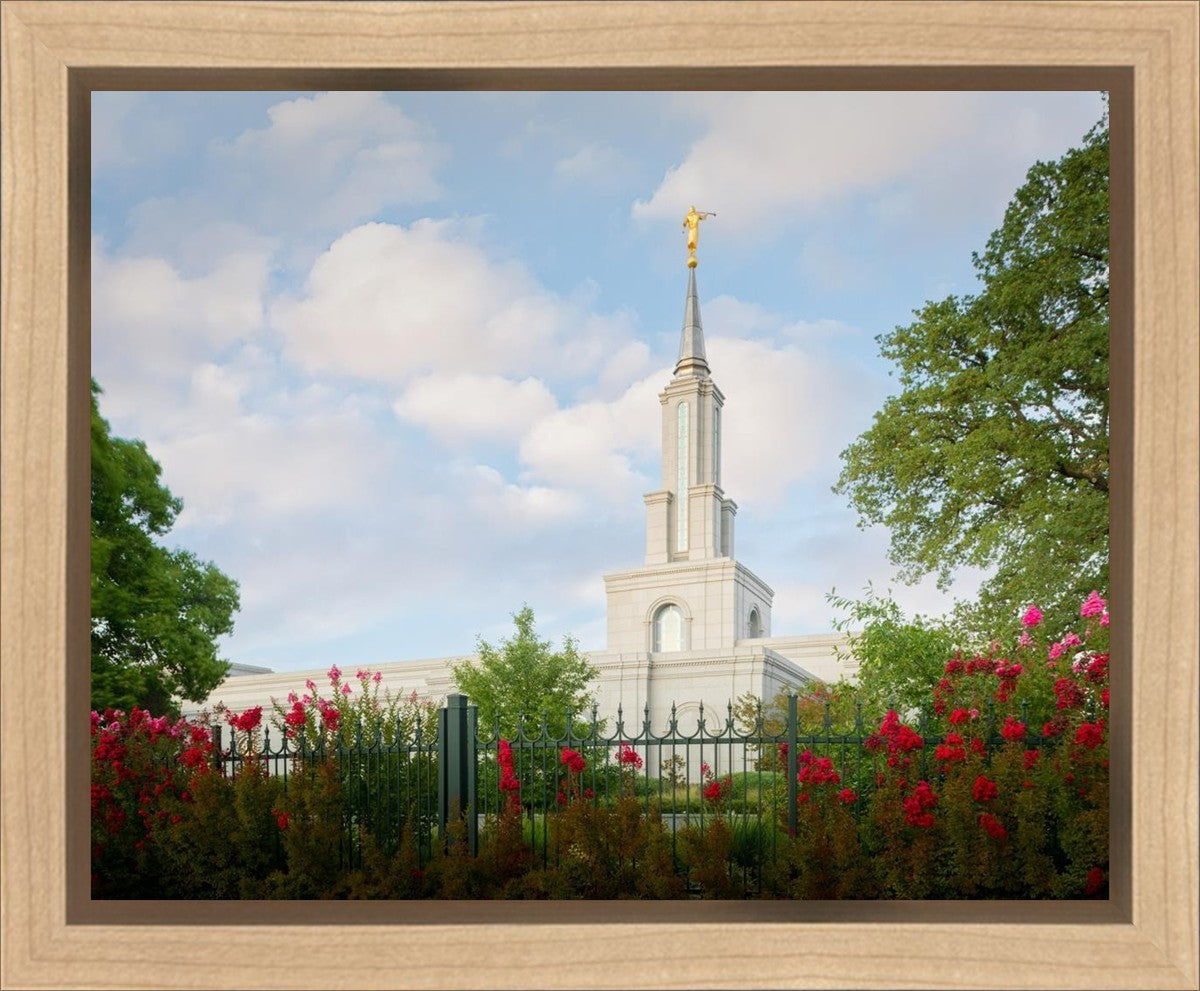 Sacramento Flowers Gallery Wrap