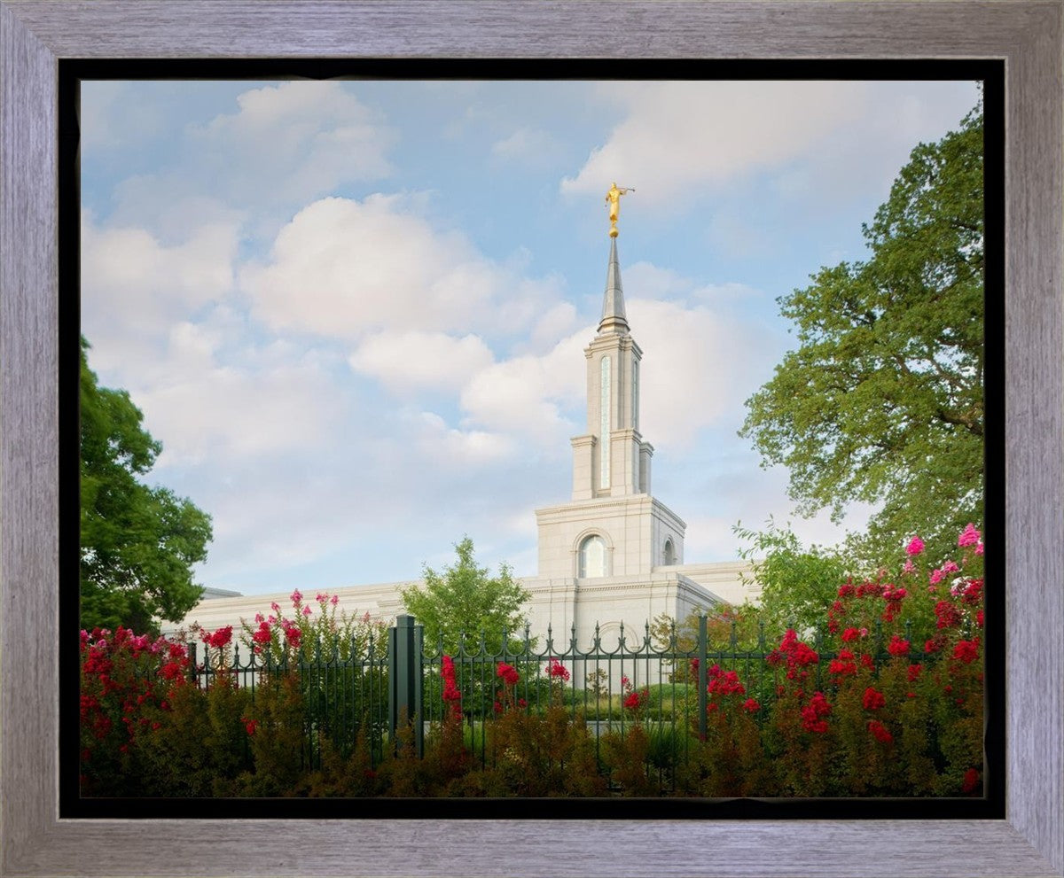 Sacramento Flowers Gallery Wrap