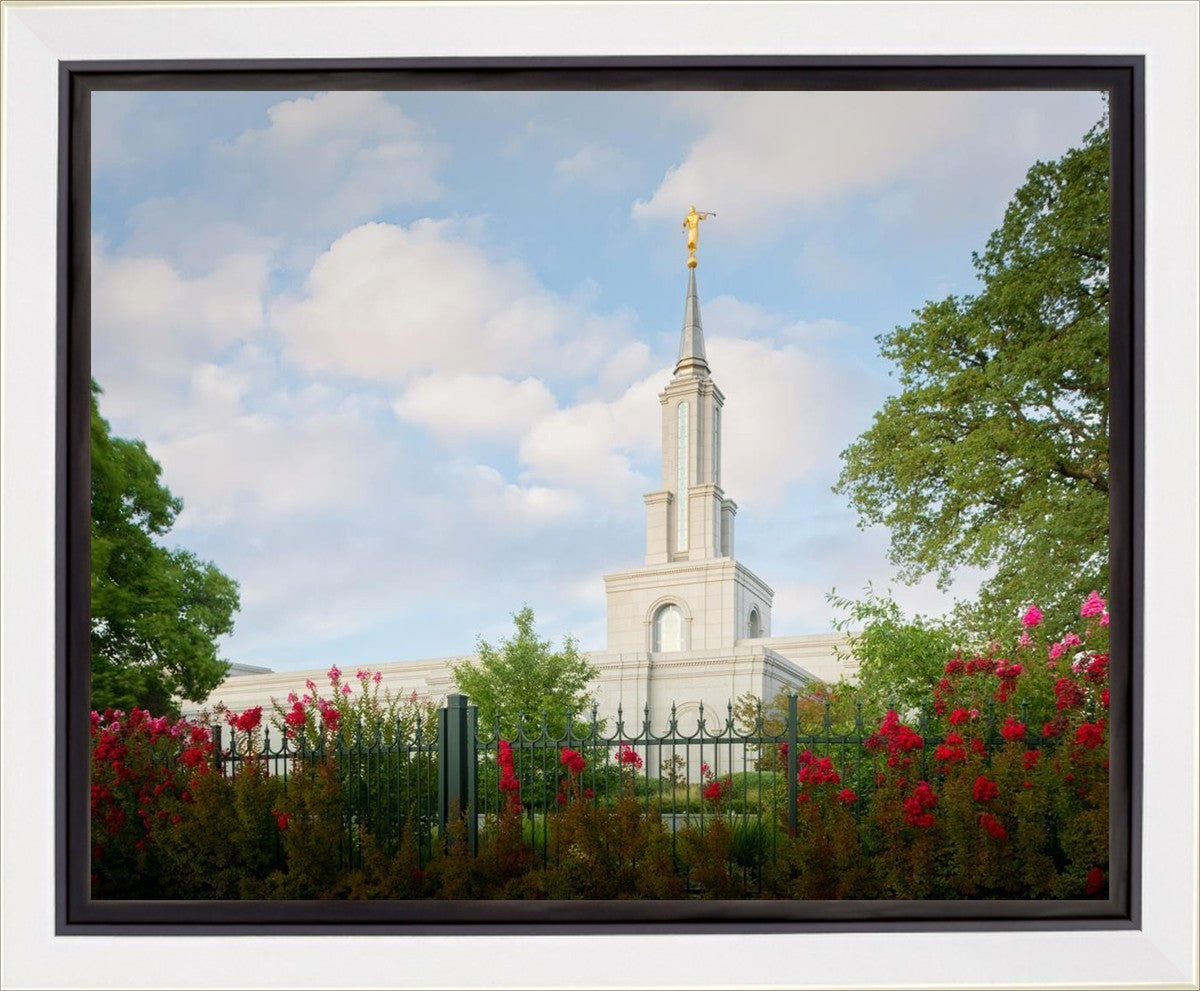 Sacramento Flowers Gallery Wrap