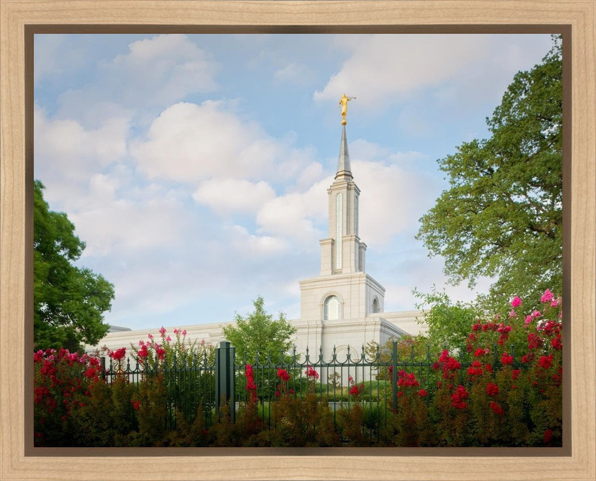 Sacramento Flowers Gallery Wrap