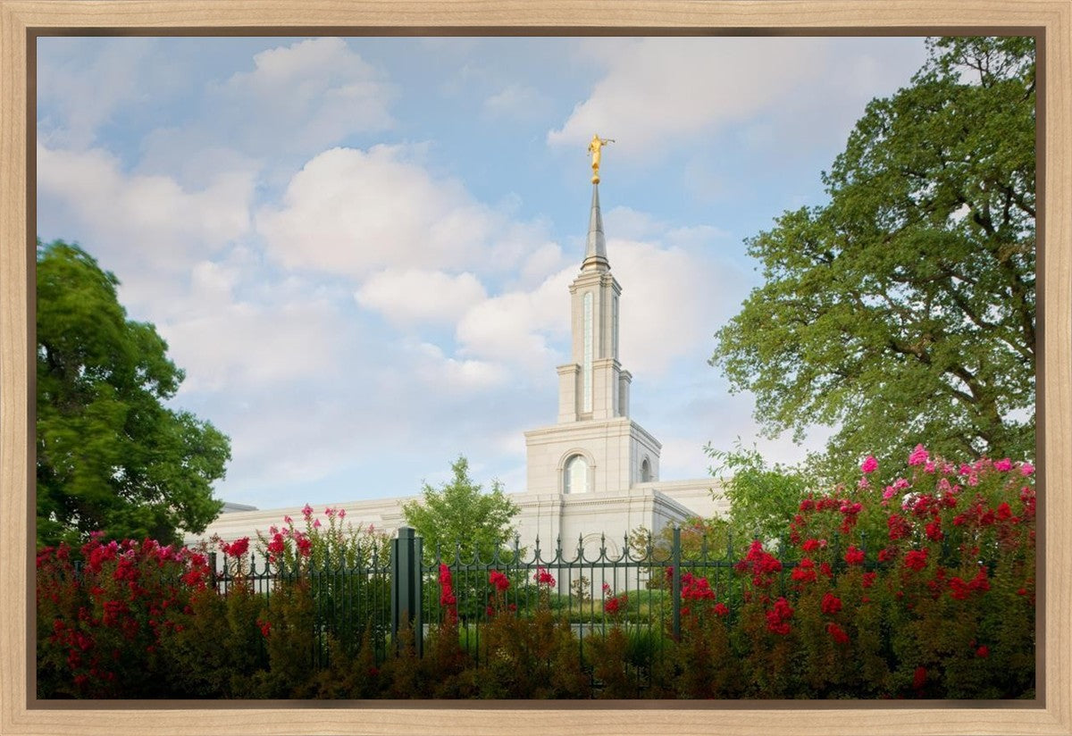 Sacramento Flowers Gallery Wrap
