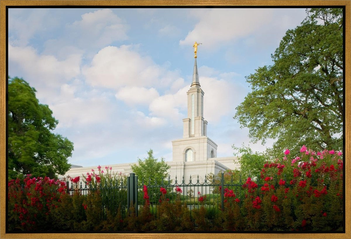 Sacramento Flowers Gallery Wrap