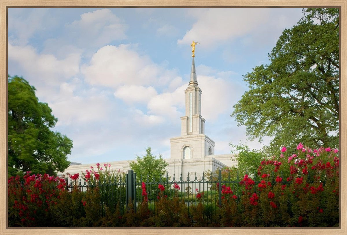 Sacramento Flowers Gallery Wrap