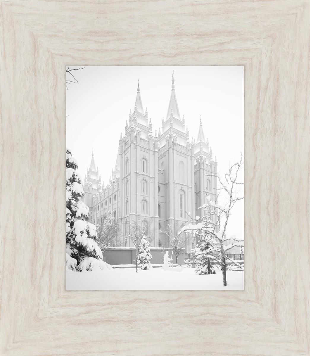 Salt Lake City High Key Snow