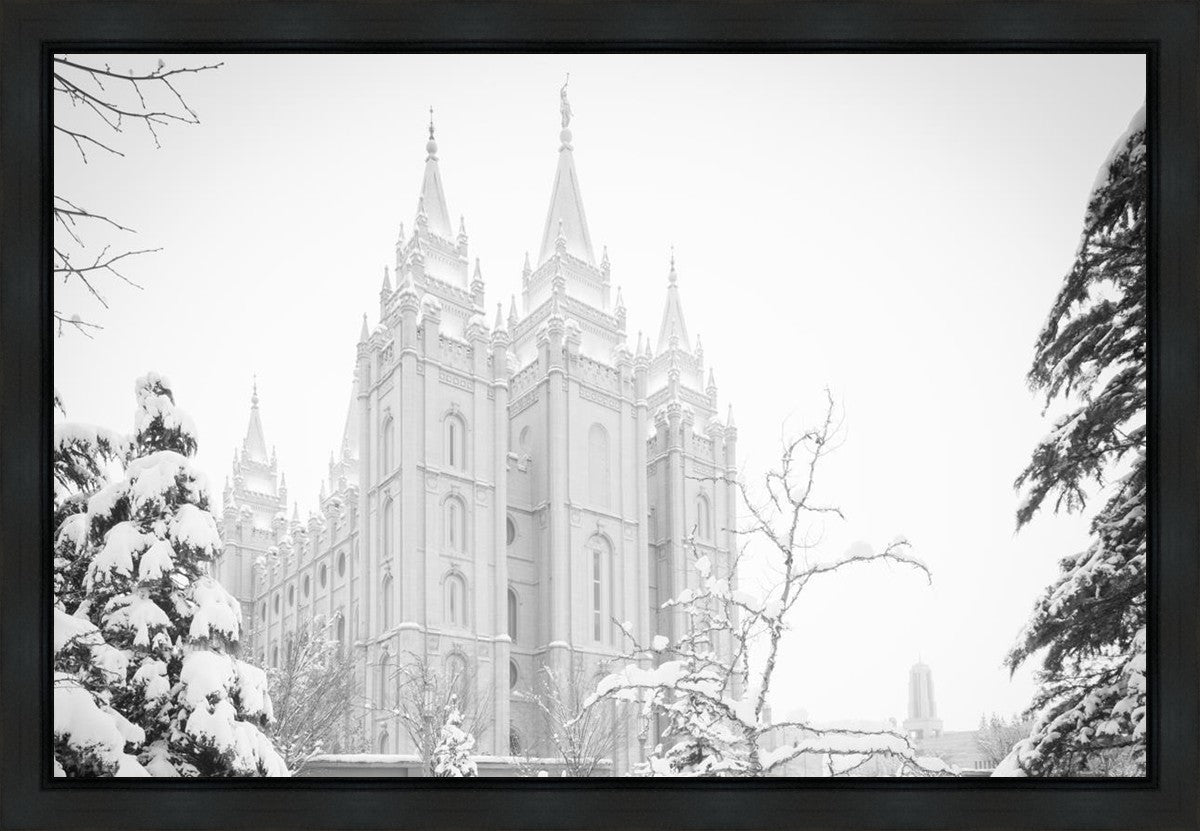 Salt Lake City High Key Snow Gallery Wrap