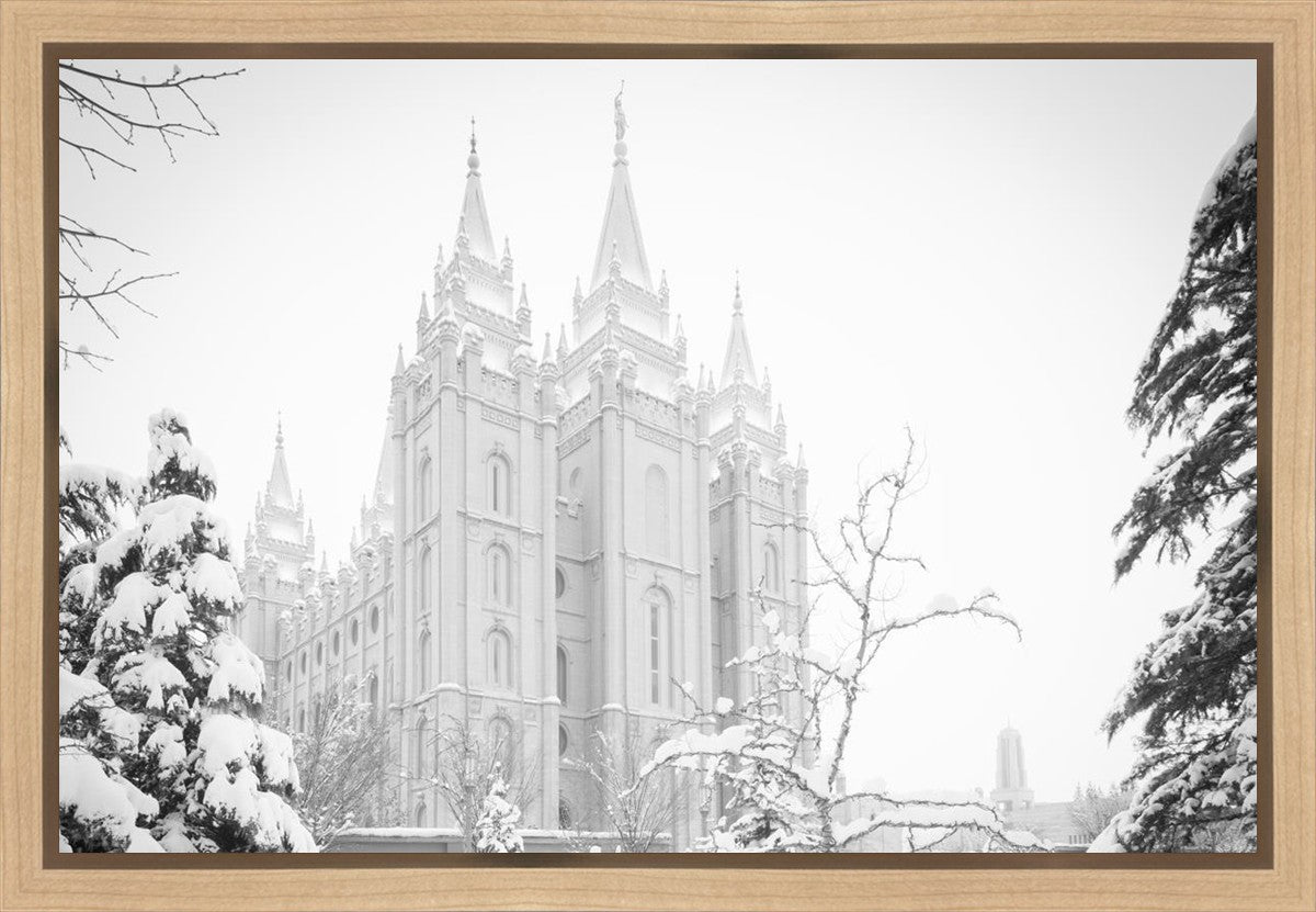 Salt Lake City High Key Snow Gallery Wrap