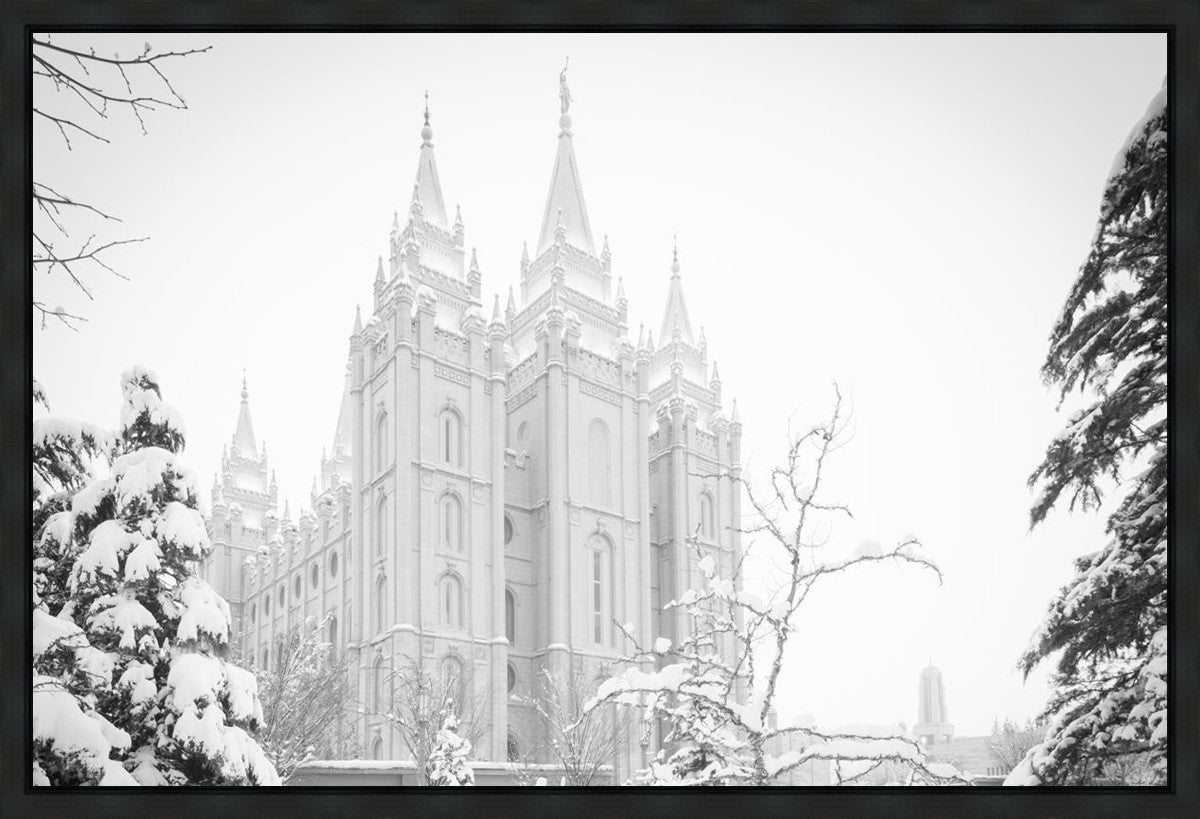 Salt Lake City High Key Snow Gallery Wrap