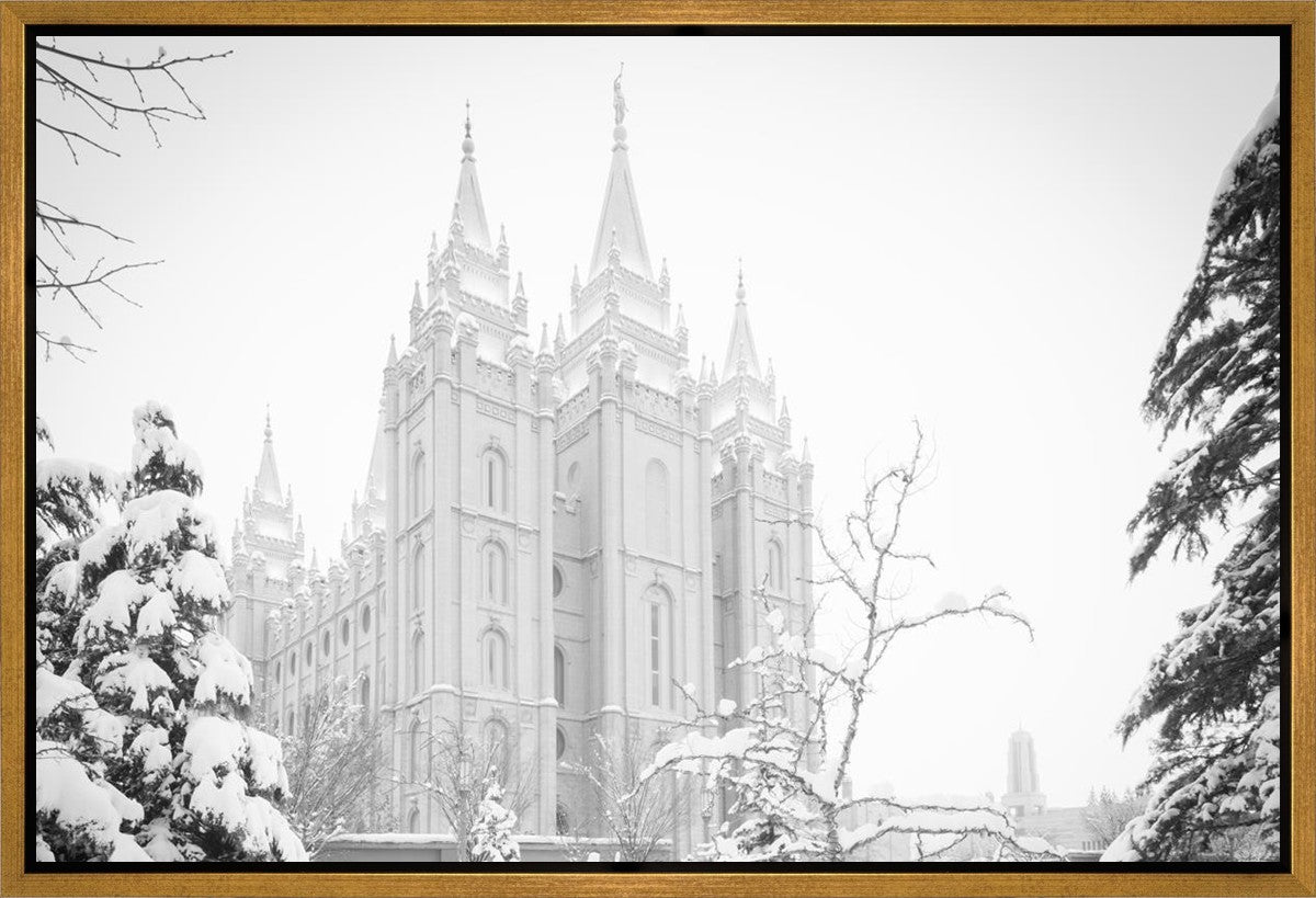 Salt Lake City High Key Snow Gallery Wrap