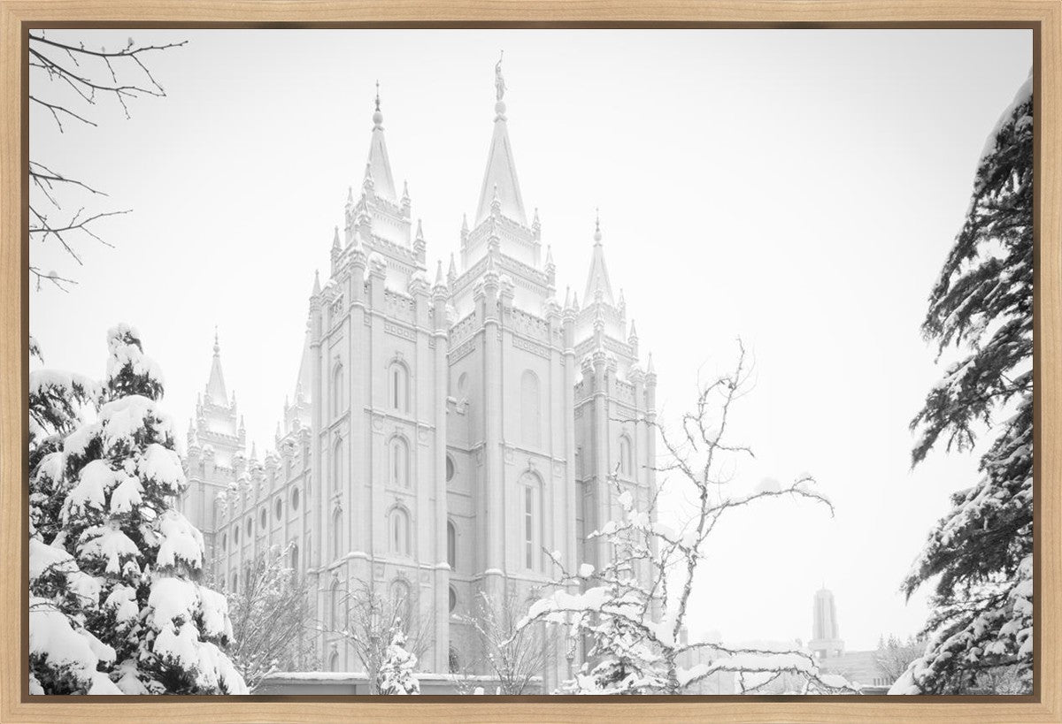 Salt Lake City High Key Snow Gallery Wrap