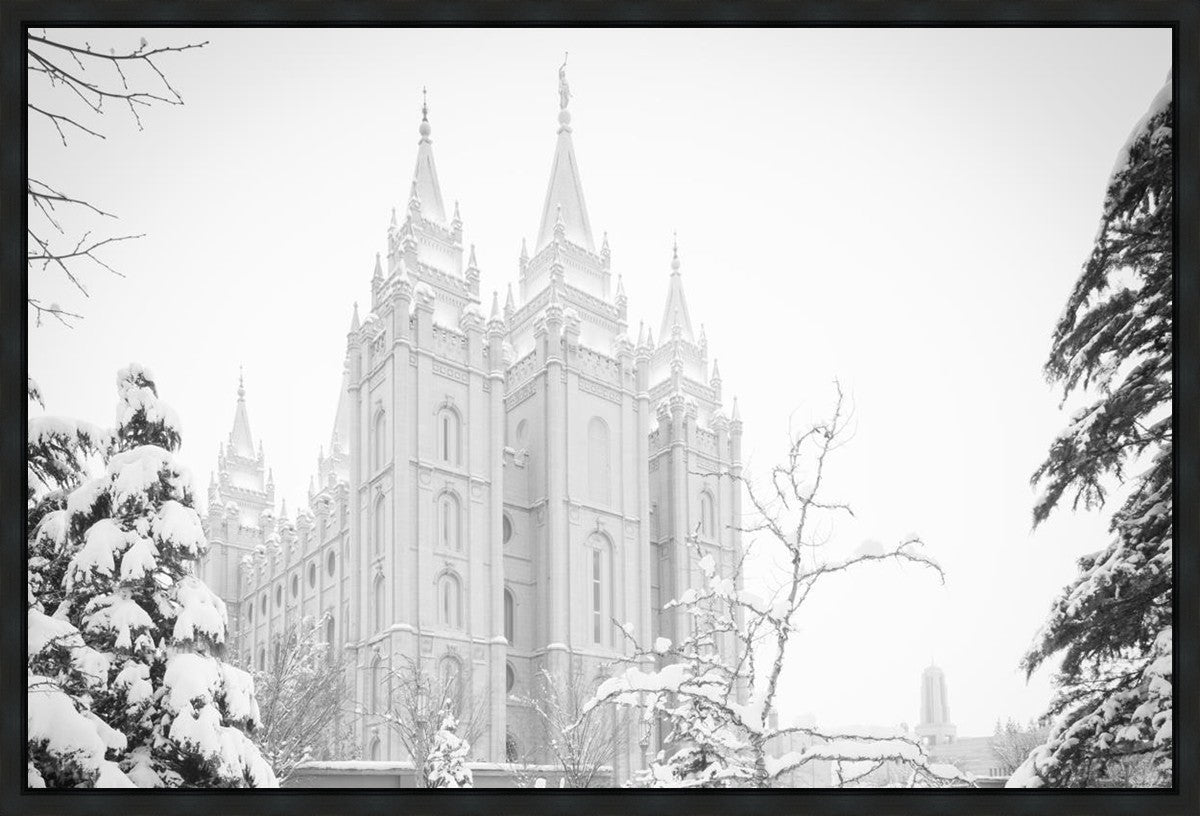 Salt Lake City High Key Snow Gallery Wrap