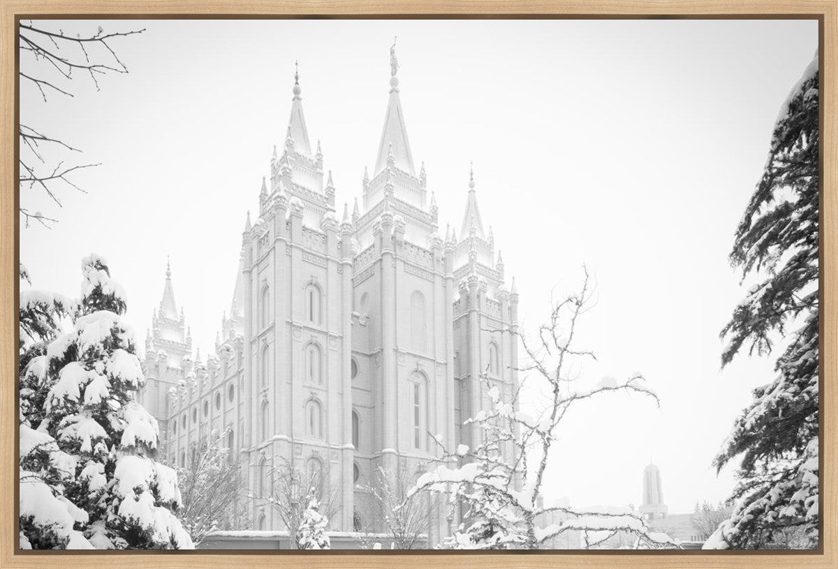 Salt Lake City High Key Snow Gallery Wrap