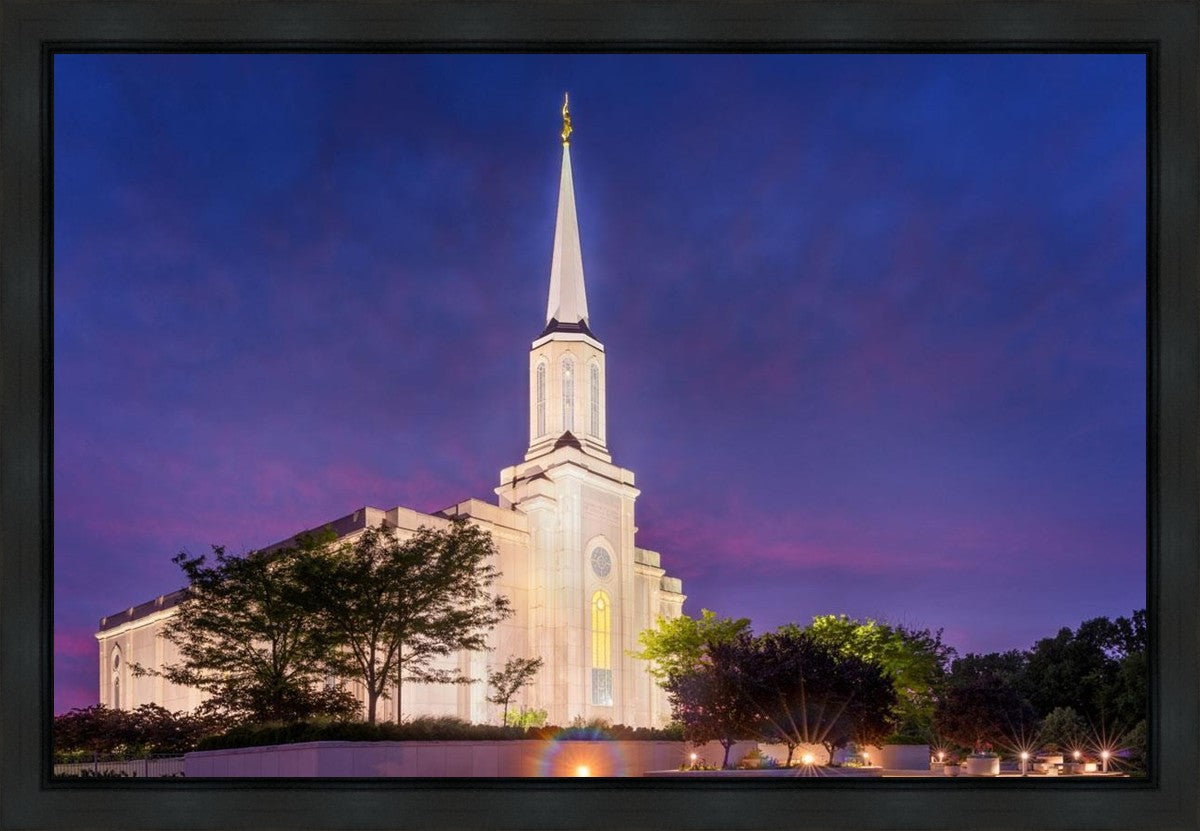 Spirit in St. Louis Gallery Wrap