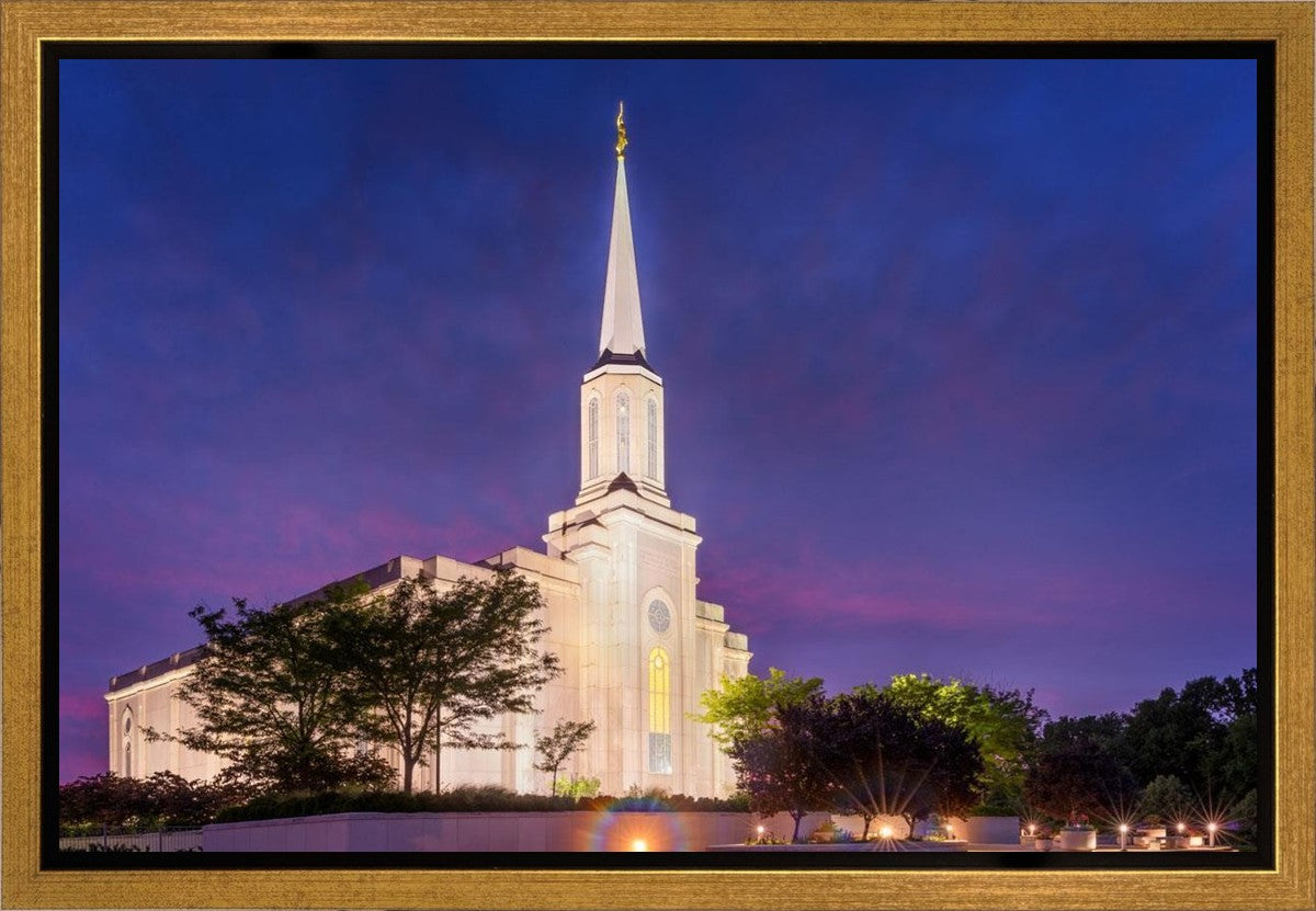 Spirit in St. Louis Gallery Wrap