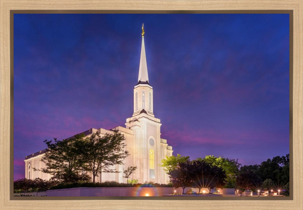 Spirit in St. Louis Gallery Wrap