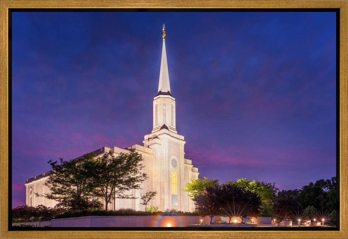 Spirit in St. Louis Gallery Wrap