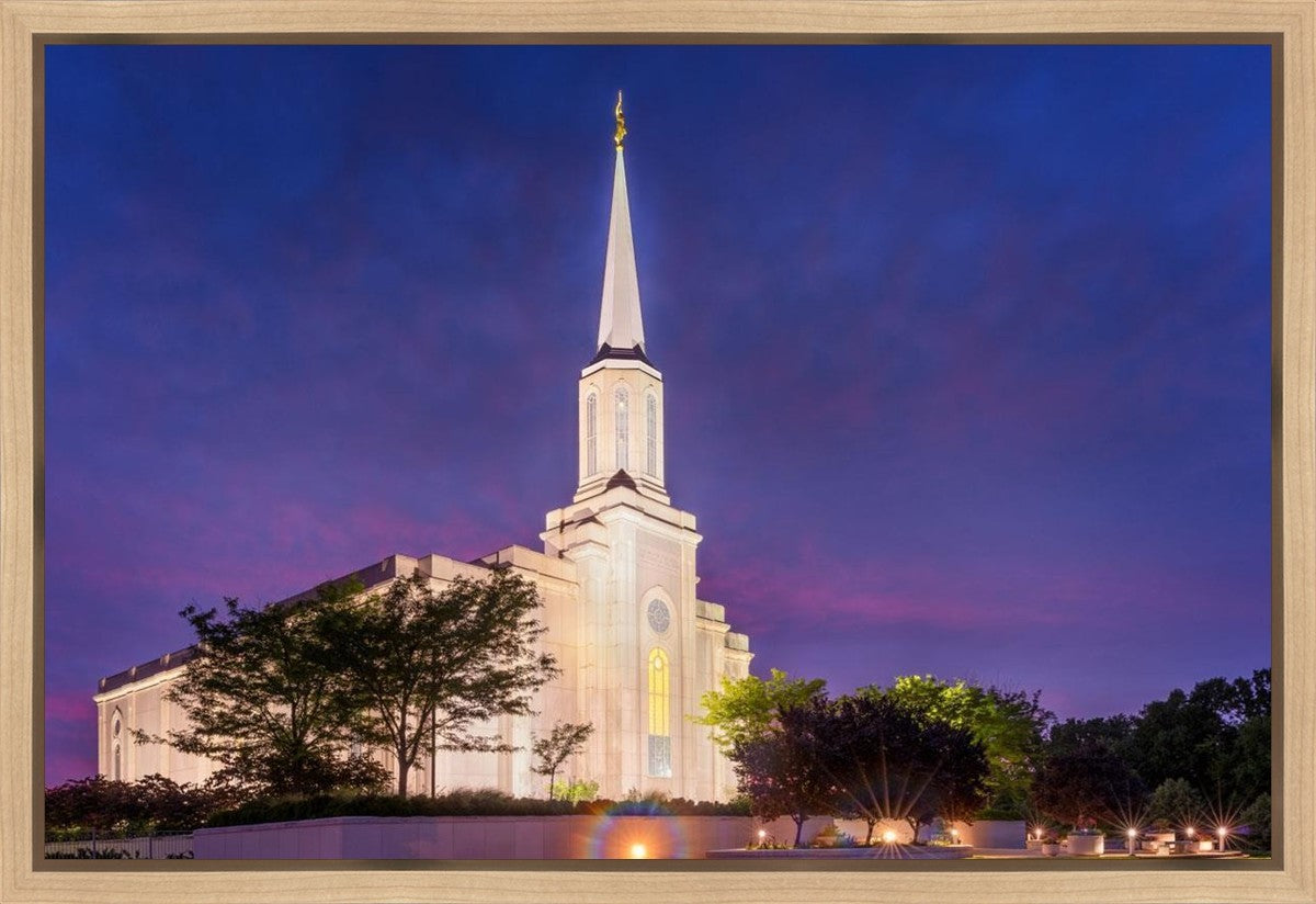 Spirit in St. Louis Gallery Wrap
