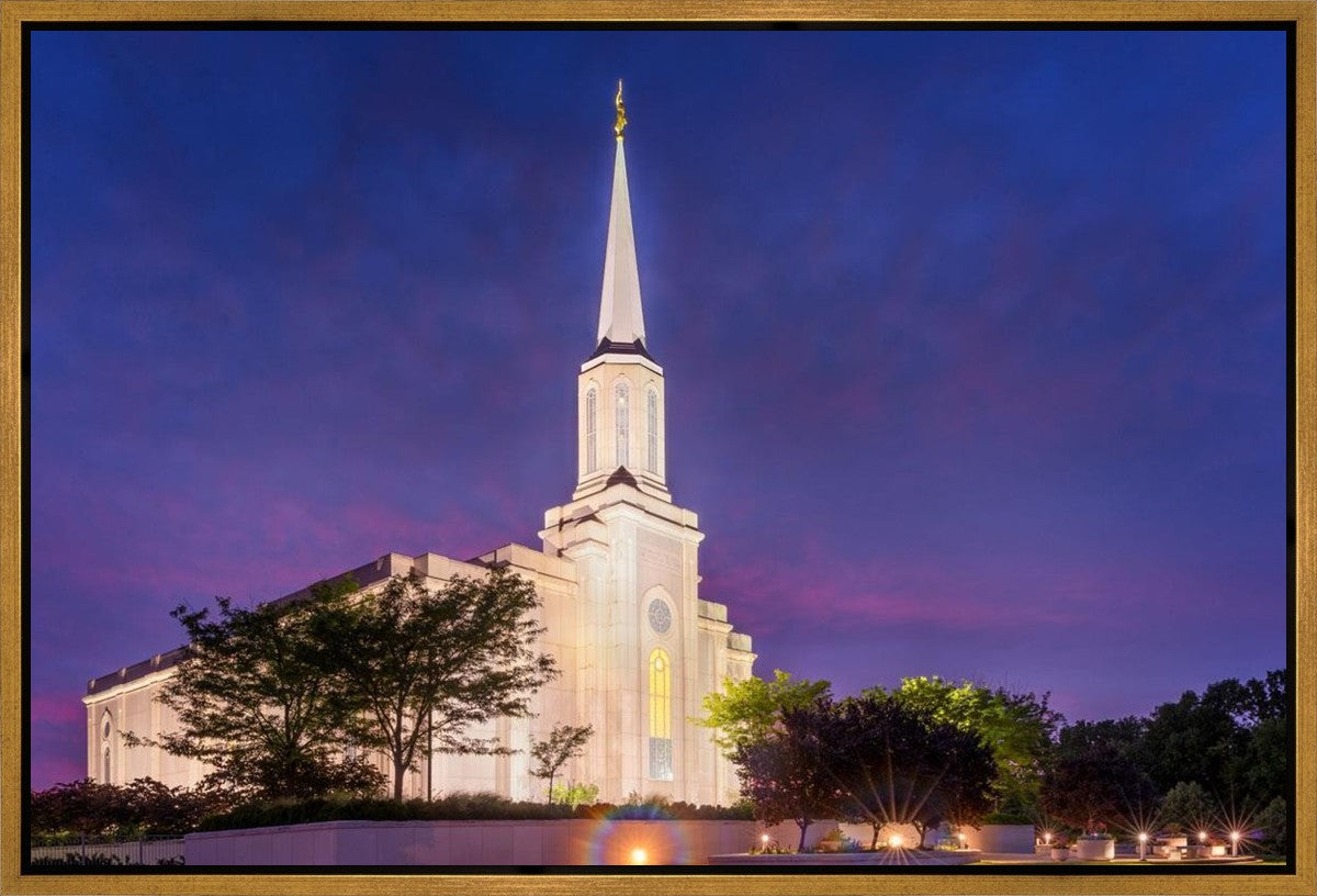 Spirit in St. Louis Gallery Wrap