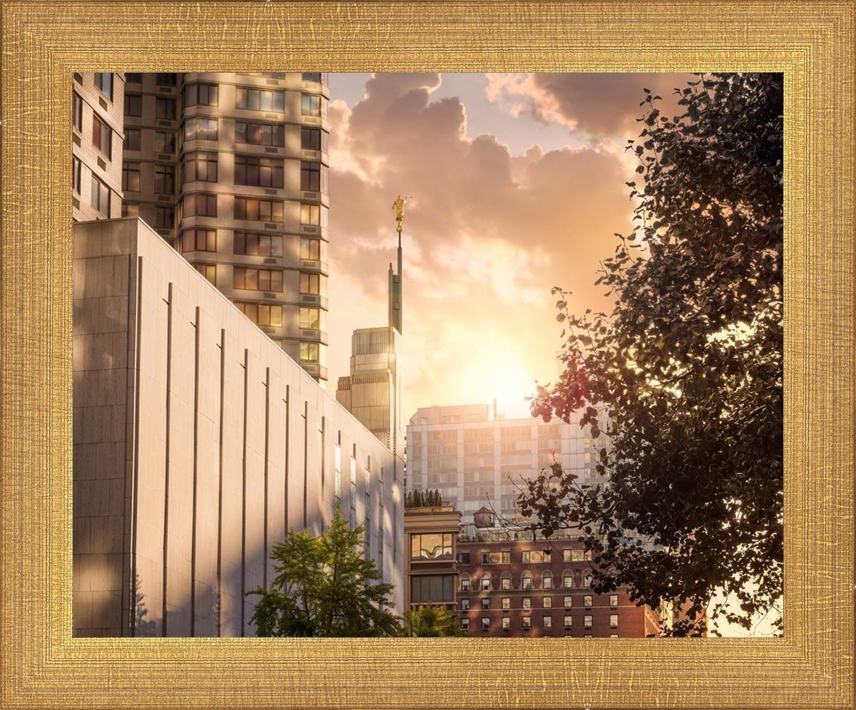 Manhattan Solace