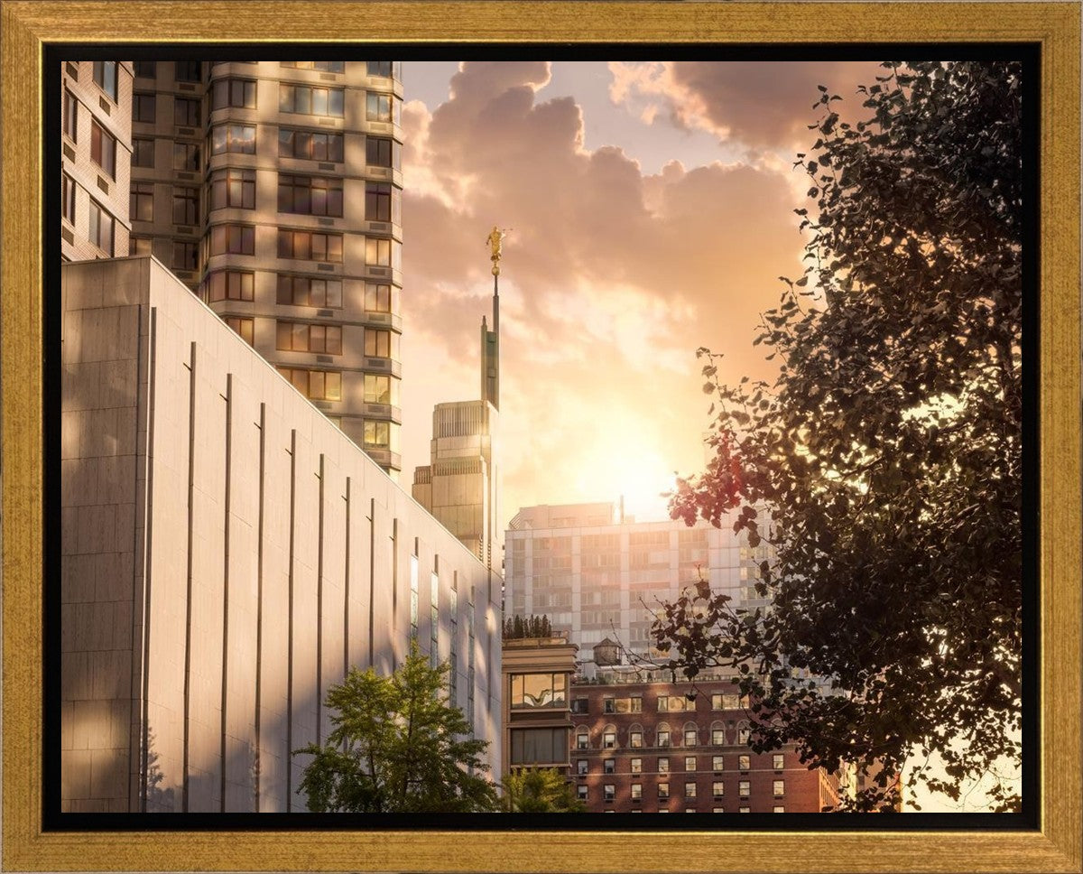 Manhattan Solace