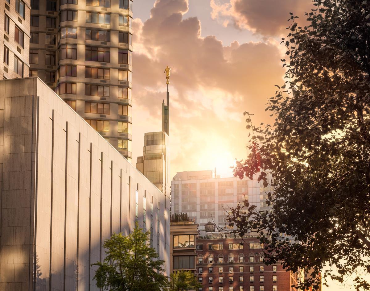 Manhattan Solace