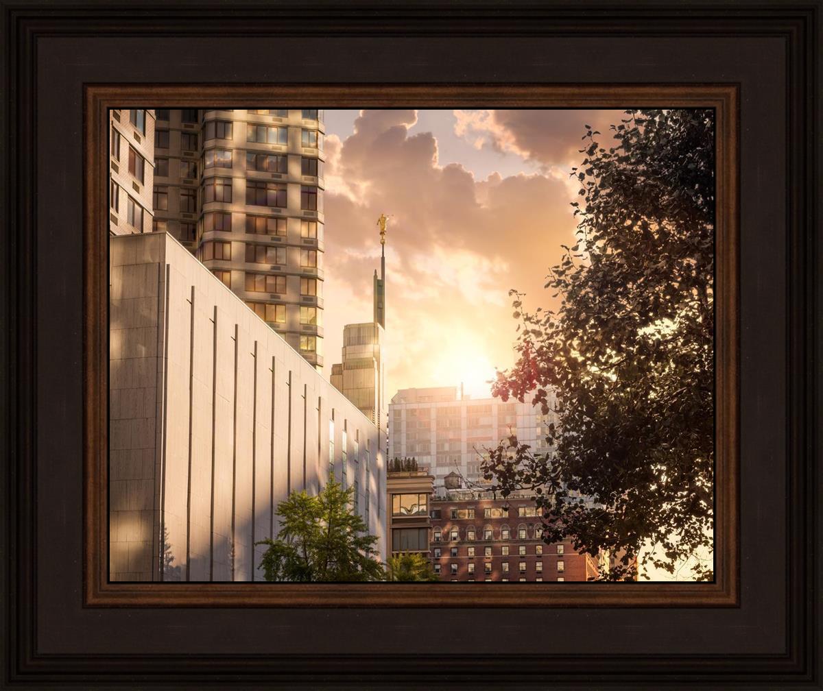 Manhattan Solace