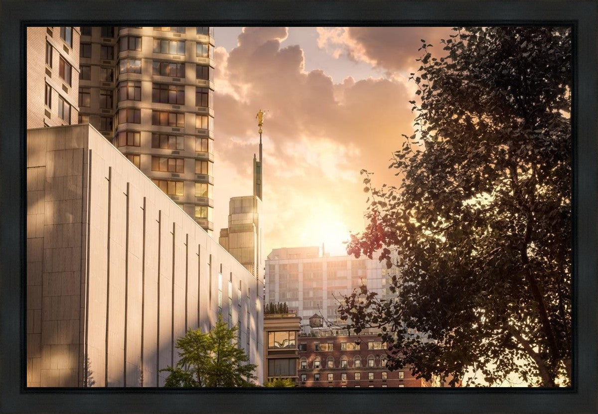 Manhattan Solace